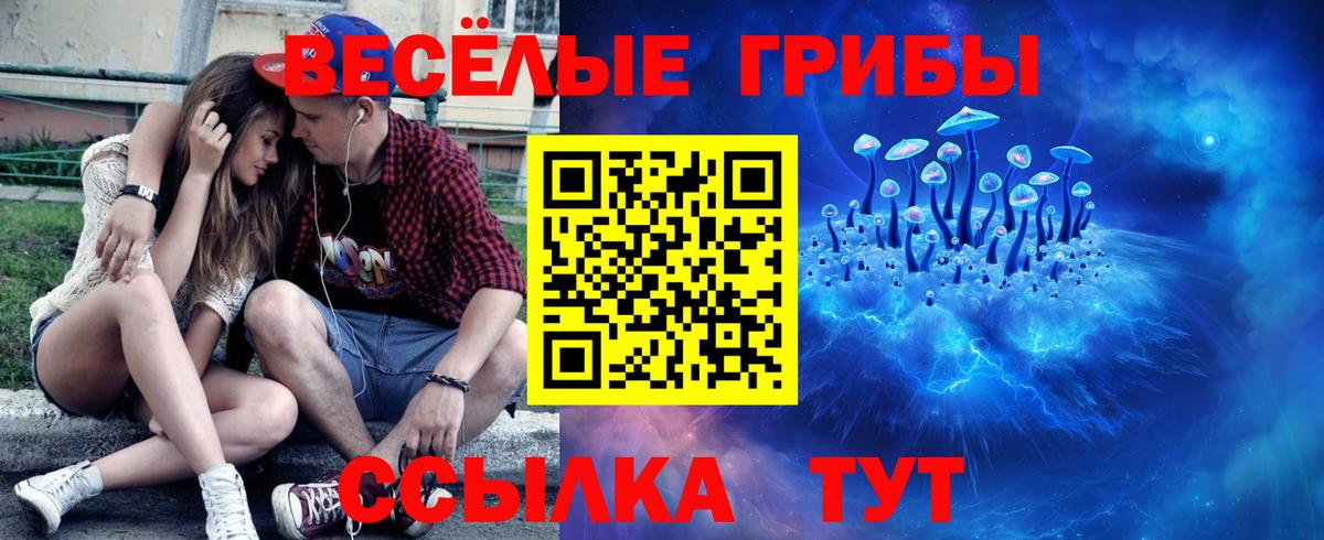 закладки  Вход с VPN  Спасск-Дальний  Галлюциногенные грибы мицелий 